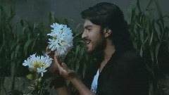 影视原声 - Panchadhara Bomma