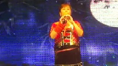 民乐群星 - 月光下的凤尾竹