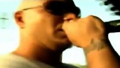 Pitbull - Pitbull One more time