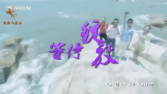 电视剧<等待绽放>