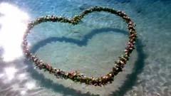 阿牛,任贤齐,光良 - 浪花一朵朵