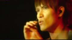 听说爱情回来过