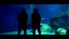 Nik & Jay - CPC Tour 2013 Copenhagen Pop Cartel