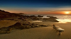 Ryan Farish - Adoration