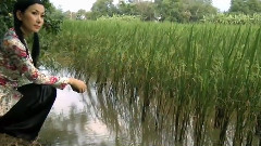 Thân Phận Con Gai