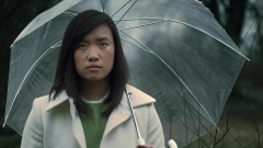 The Darcys - Muzzle Blast