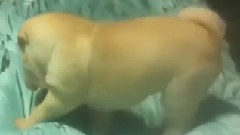 G-Dragon(BigBang) - GD推特更新视频一则