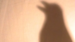 ANT - Kisses On A Plate