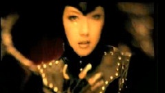 柏文 - 猫样年华