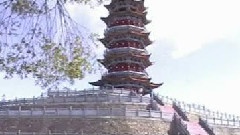 尹相杰 - 绊人的桩不在高