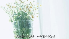 藤田惠美 - ひだまりの詩 饭制版