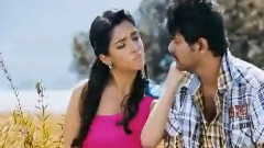 印度群星 - 当蝴蝶在召唤我的花儿