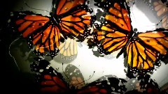 妄想Hero < 妄想代理人 > MAD 中文字幕