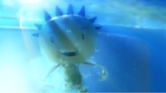 One-T & Cool-T - Kamasutra