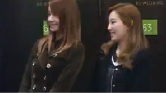 参加哈哈星婚礼