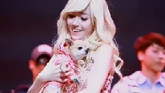 音乐剧<金发尤物>谢幕