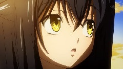 <织田信奈的野望>