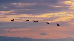 风景 - 时间的风景1