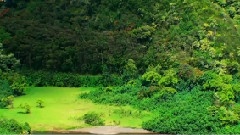 Bandari,音乐短片 - 小阳春