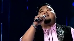 绿叶对根的情意