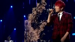 后弦 - 我爱你塞北的雪