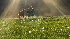 风景 - 时间的风景7