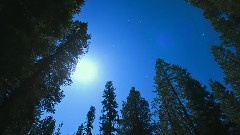 风景 - 时间的风景6