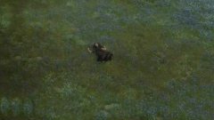 Selena Gomez - Write Your Name(Stars Dance Preview)