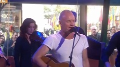 Sting - What Have We Got