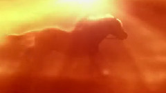 电影<穿靴子的猫>