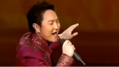 鸿雁 2013BTV环球春晚