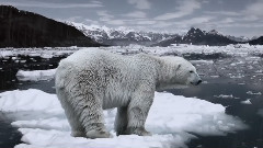 松井惠子 - Antarctica A Call To Action