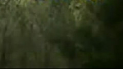 电影<花园街五号>片头曲