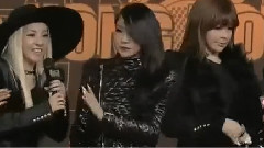 2013MAMA 红地毯 2NE1 Cut