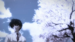 樱花飘舞的小镇 - 9周年纪念