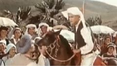 赛马 电影<五朵金花>片段