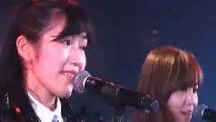 桜の花びらたち