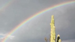 Sufjan Stevens - Futile Devices