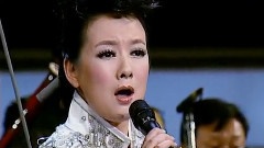 柏文 - 戈壁马兰