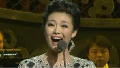 常思思 - 映山红