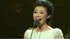 常思思 - 红梅赞