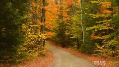 Omar Akram - Never Let Go