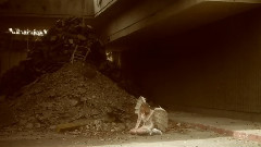 Linkin Park - Final Masquerade