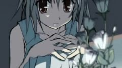 樱花季的我们仰望着天空