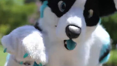 Kori Karma's Fursuit Dance Music Video