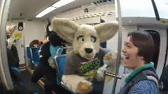 Further Confusion 2014 MGMT-Kids