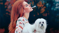 Lana Del Rey - Summertime Sadness (Cedric Gervais Remix 128)