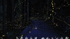 星之所在 中文版