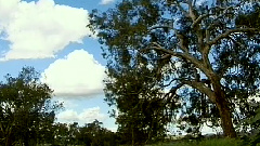 西洋乐 - 双头鹰进行曲