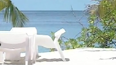 西洋乐 - 闲聊波尔卡进行曲